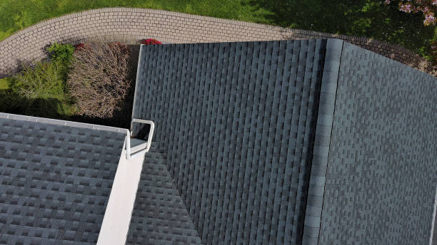 Best Roof Coating and Sealing  in Burnsville, MN